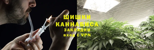 крисы Абаза
