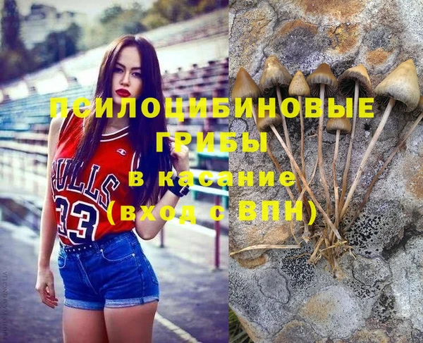 сатива Осинники