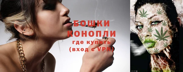 сатива Осинники