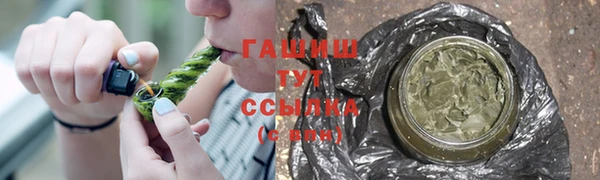 сатива Осинники