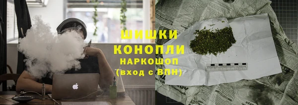 крисы Абаза