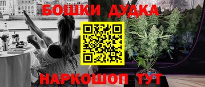 молекула духа Гатчина