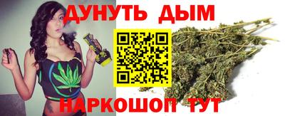 молекула духа Гатчина