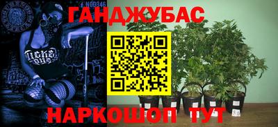 молекула духа Гатчина