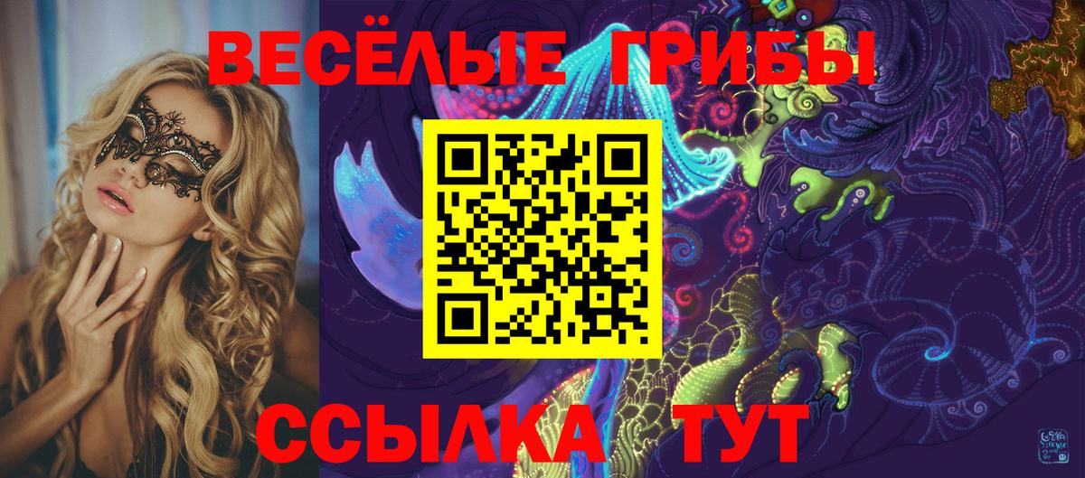 Галлюциногенные грибы прущие грибы Приморско-Ахтарск