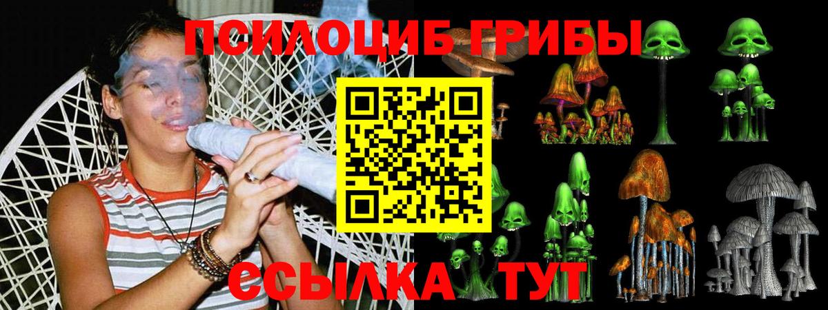 Галлюциногенные грибы MAGIC MUSHROOMS  Вход с VPN  Приморско-Ахтарск 